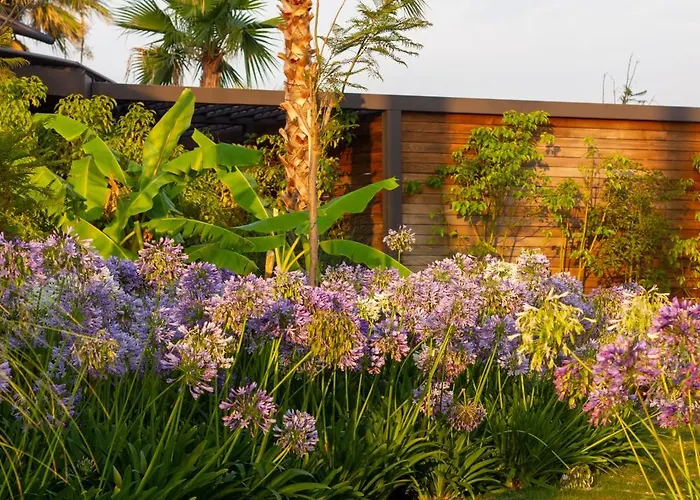 מלון Reges, A Luxury Collection & Spa, Çeşme