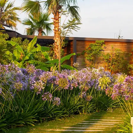 מלון Reges, A Luxury Collection & Spa, Çeşme